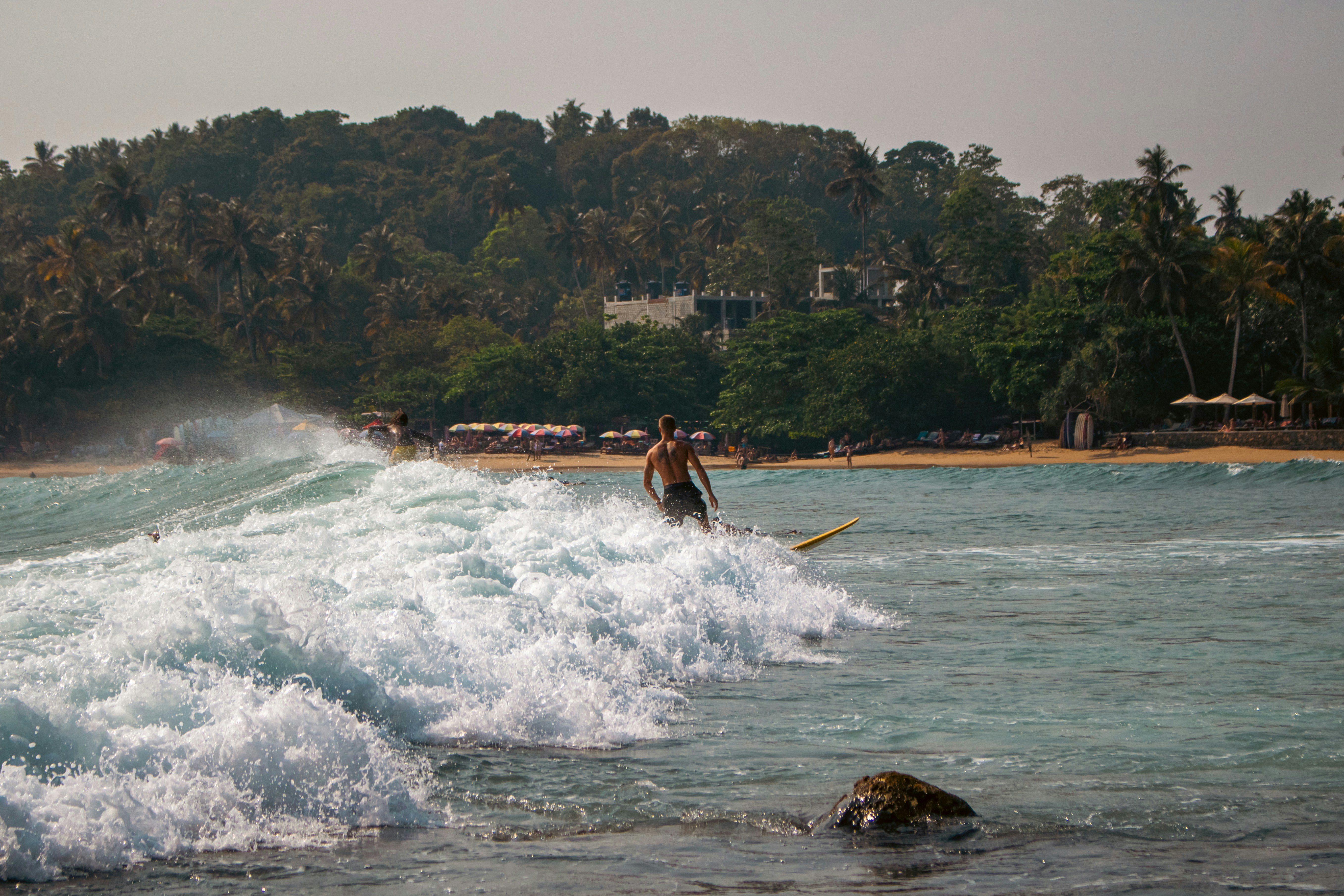 Hiriketiya Bay beach with palm trees and surfing waves in southern Sri Lanka