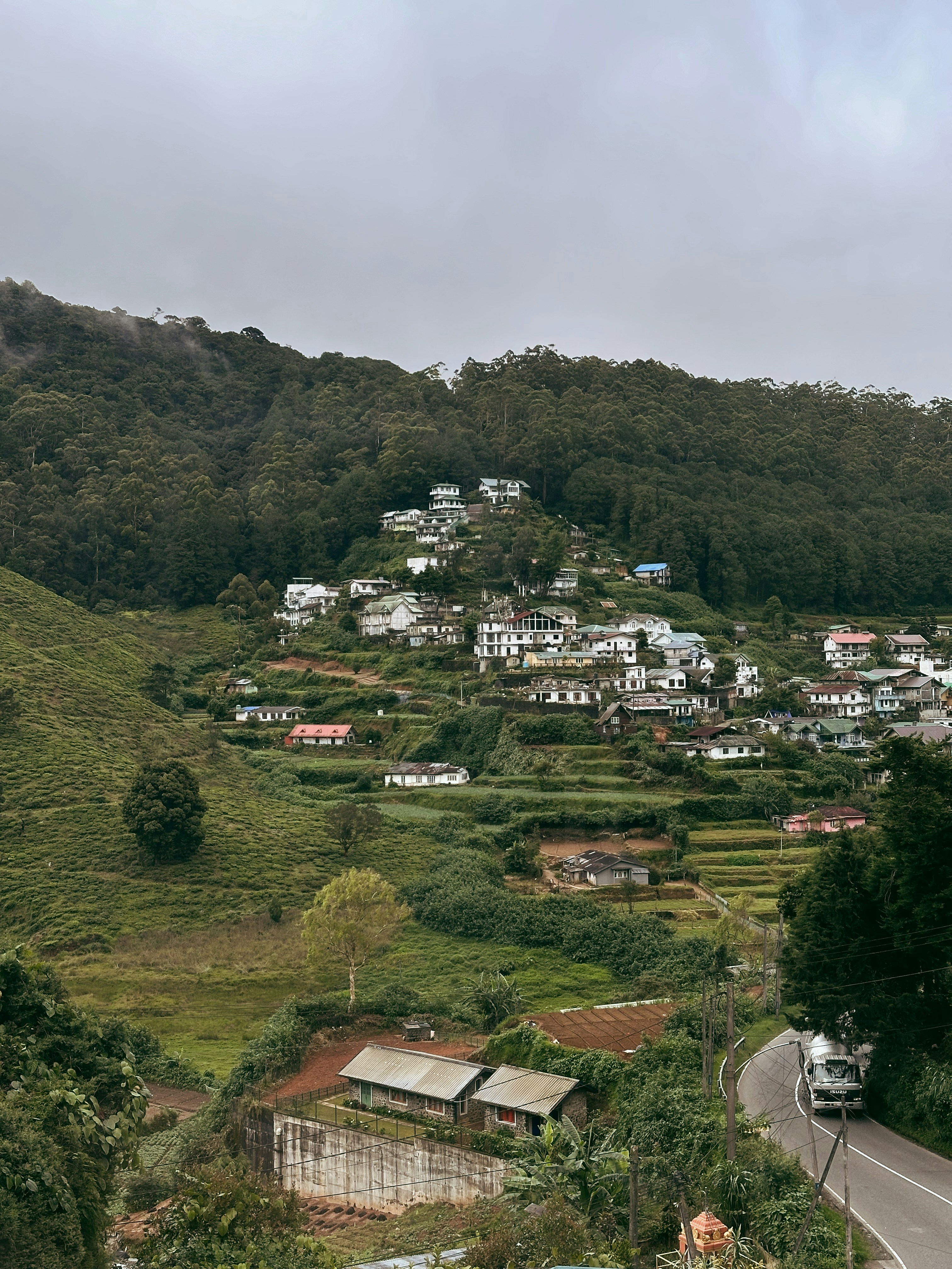 Nuwara Eliya tea plantations and misty mountains in Sri Lanka hill country